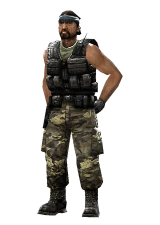 Guerilla